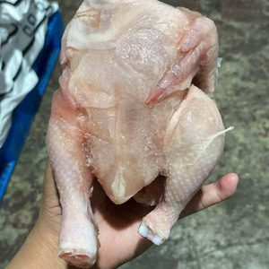 ไก่แช่แข็ง - Product Image 1