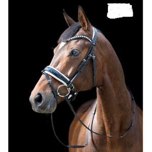 สแนฟเฟิล บริดเดิล - Product Image 3