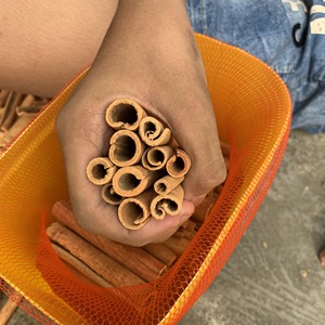 Vietnam Origin Premium Cassia Cinnamon Sticks AD Process Dried Raw ISO/HACCP Certified Free Sample +84 326055616 - Product Image 2