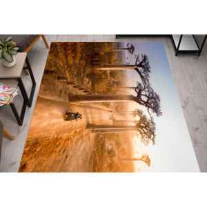 Alfombras con diseño de árboles de Baobab, alfombra con diseño de árbol, alfombra con paisaje de Madagascar, alfombra estampada, alfombra suave no tejida - Product Image 2