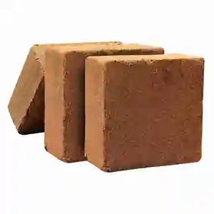 For farms, terraced garden coco peat block 5kg with low ec is used from direct suppliers India and with best price as of bulk.