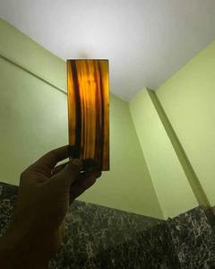 High-Quality Buffalo Horn Plate Natural Material for Cutting & <b>Shoe</b> Stick Usage by crescent crafts - Product Image 4