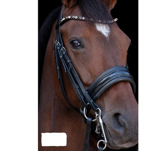 Bride Snaffle - Product Image 2