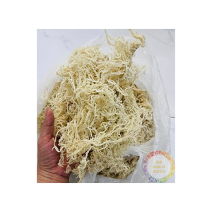 VENTE EN EMBALLAGE EN VRAC COTTONII ALGUES-100% NATUREL DE HAUTE QUALITÉ ET MEILLEUR PRIX DU VIET NAM - Product Image 3