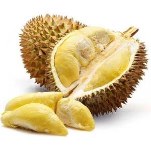 Durian Orgánico Premium 100% Natural, Fruta Entera Congelada al Vacío IQF - Product Image 1