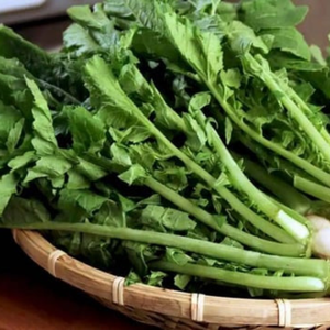 Suministro a granel de hojas de rábano congeladas para uso en la industria alimentaria - Product Image 3