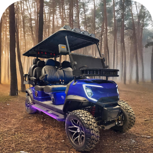 Transport City Small Remote 3500W Unique Luxury 2 + 2 Seater Mini Electric Golf Cart - Product Image 5