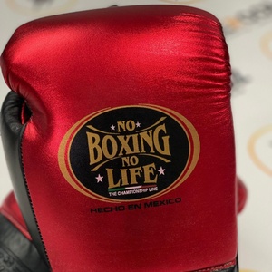 Gants de boxe professionnels Muay Thai MMA, toutes les couleurs disponibles, sans boîte, sans rouge ni noir, à lacets, ajustables. - Product Image 6