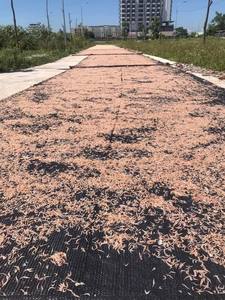 ¡Caliente! Camarón bebé seco, con precio competitivo y alto estándar de exportación de VIETNAM, listo para enviar - Product Image 6