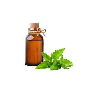 Buy High Quality Peppermint Oil with 100% Pure Naturally Made For Multi Purpose Uses Oil By Exporters Low Prices