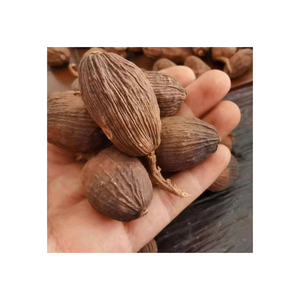 กระวานสีเขียวแห้ง - Product Image 5