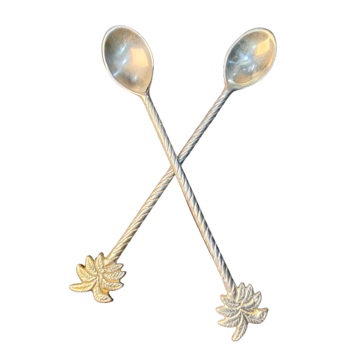 การแสดงภาพ