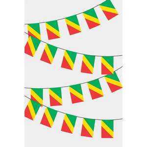 Party <b>Banners</b> Congolese Rectangular Flag Garland - Product Image 1