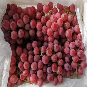 Organic Japanese Seedless <b>Grapes</b> Premium Quality <b>Fresh</b> Green Farm Grown for Export-Bulk Wholesale Prices - Product Image 4