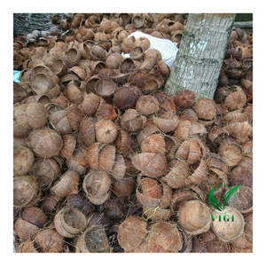 Venta al por mayor de cáscara de coco de Vietnam para Energía Limpia Carbón ecológico y fabricación de briquetas de barbacoa - Product Image 4