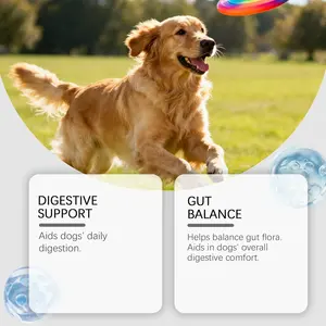 OEM/ODM Vitaminas Masticables <span class=keywords><strong>para</strong></span> Cachorros y Gatitos, Suplemento Probiótico <span class=keywords><strong>para</strong></span> el Equilibrio Intestinal, con Salud Articular y Frutas Mixtas - Product Image 2