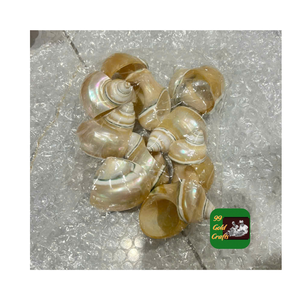 ANNEAU DE SERVIETTE EN COQUILLE DU VIETNAM FABRIQUÉ À LA MATÉRIAUX NATURELS POUR DÉCOR DE TABLE FÊTE DE MARIAGE RESTAURANT HÔTEL DINER ACCESSOIRES - Product Image 3