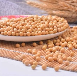 กากถั่วเหลืองคุณภาพสูงโปรตีนสูงสำหรับขาย - Product Image 1