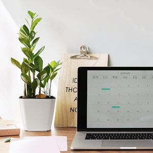 Macetas de Plástico PP <span class=keywords><strong>MiHo</strong></span> con Autorriego para Jardín, Macetas Blancas para Escritorio y Alféizar, Decoración para Interiores y Exteriores del Hogar - Product Image 4