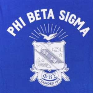 Camiseta de manga larga PBS-Azul | Camisa Phi Beta Sigma de algodón 100% con estampado de manga y logotipo del equipo en la parte delantera | Ropa de fraternidad para hombres - Product Image 3