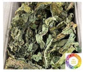 Feuilles de papaye séchées 100% Pure Natural Tea Cut Top Quality Vietnam Farm Feuilles de papaye séchées pour des bienfaits à base de plantes Papaye séchée - Product Image 2