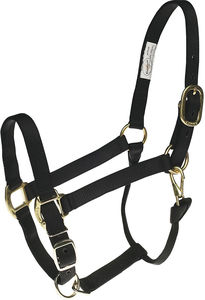 Cabestro de caballo ajustable de alta calidad, cuello de cabeza de carreras de cuero personalizado, Productos Ecuestres equinos - Product Image 2