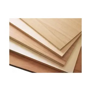 ไม้อัดไม้เนื้ออ่อนสำหรับงานก่อสร้างไม้อัดไม้สนเบิร์ชขั้วโลก - Product Image 6