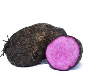 Cut purple yam into chunks freezing with large quantity in Vietnam