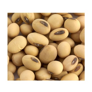 Wholesale Supplier of Bulk Organic <b>Soybean</b> / Dried Soya Beans From Germany 25kg - Product Image 5