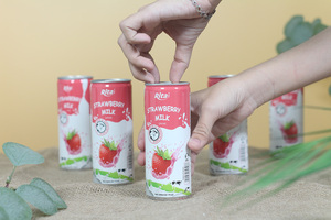 Best Seller 240ml Natural Strawberry Flavored Real Milk DELICIOUS HALAL Soft Drink OEM ODM Box Packaging with Bottle - Product Image 5