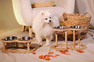 Bois chien porte-nourriture bol pour animaux de compagnie en bois marron en gros portion de nourriture pour chien chat oiseau bols d'alimentation avec aspect naturel authentique - Product Image 2