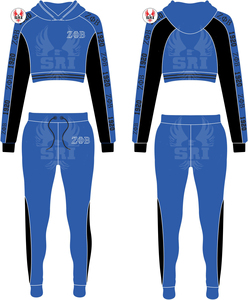 Haute qualité personnalisé Zeta Phi Beta sororité survêtement poids lourd survêtements bouffée impression sweat à capuche et pantalon de survêtement ensemble - Product Image 5