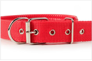 สายจูงสุนัขแบบมีแผ่นรองทำจากไนลอนหลากสี พร้อมปลอกคอแบบนุ่มปรับได้ ขายส่งจากโรงงานในเวียดนาม ผู้จัดจำหน่ายที่ดีที่สุดสำหรับสุนัขพันธุ์เล็ก - Product Image 4