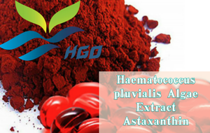 Suministro Directo de Fábrica HGO de Extracto de Algas Naturales Haematococcus pluvialis, Astaxantina de Grado Alimenticio, Extracto Estandarizado del 1%-5% - Product Image 5
