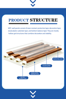 Panel de Pared WPC de Coextrusión de Alta Calidad, Panel Decorativo 3D Hueco, Panel Compuesto de Madera y Plástico para Revestimiento Interior, Uso en Gimnasios, Impermeable