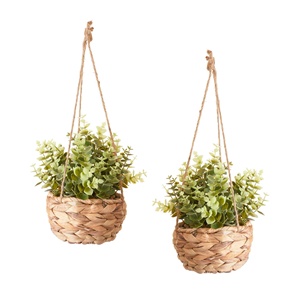 Nouveautés : Pots suspendus de haute qualité en jacinthe d'eau pour plantes - Product Image 1