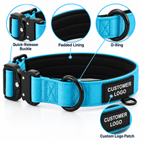 Collier pour chien rembourré robuste avec patch logo personnalisé, boucle à dégagement rapide en métal, réglable en nylon, vente en gros en vrac