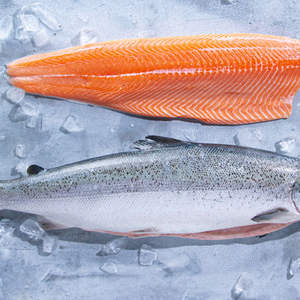 frozen fresh fish pink salmon fillet prices wholesale