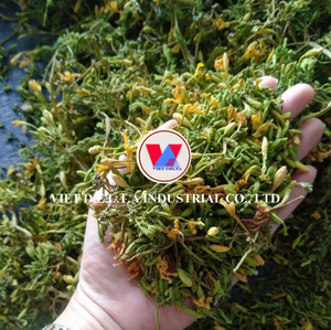 Flor de Papaya Seca, Ingrediente Herbal Natural para Té, Remedios Tradicionales y Uso en Bienestar // Sra. Lily - Product Image 2