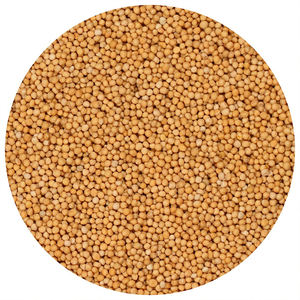 Exportateur mondial vendant de la moutarde naturelle brute séchée de haute qualité, options personnalisées, marque Spicecentra, Inde, durée de conservation de 12 mois - Product Image 1