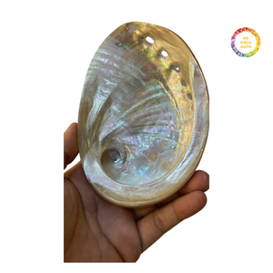 Concha de Abulón Azul Pulida de Color Natural para Incrustaciones de Joyería Artesanal y Aplicaciones Decorativas - Product Image 3