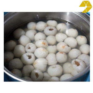 ลิ้นจี่กระป๋องบรรจุในน้ำเชื่อมลิ้นจี่เวียดนามกระป๋องทั้งรูปแบบหวานธรรมชาติและพร้อมสำหรับของหวานและน้ำผลไม้สูตร - Product Image 1