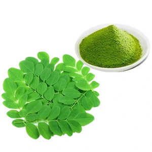 Vente chaude 100% Capsule d'extrait de feuille de Moringa biologique pure au prix de gros d'Isar International - Product Image 4
