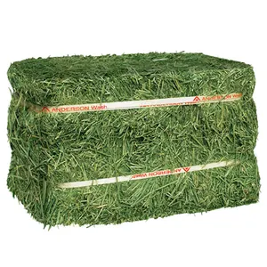 Tier fütterung Timothy oder Alfalfa Hay in Ballen zum Verkauf für Großhandel/Super Top Qualität Alfalfa Hay!!