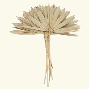 Abanico seco de hoja de palma Flor de hojas de palma Decorativo Hojas de Palma conservadas Día DE LA MADRE Día de San Valentín Regalo de agradecimiento de Navidad - Product Image 4