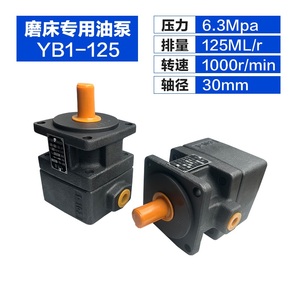 Yb1 loạt công nghiệp Cánh bơm áp lực cao đầu ra thiết kế bền máy bơm thủy lực-Mô hình YB1-4 YB1-6 YB1-10 YB-D6 YB-D6L - Product Image 4