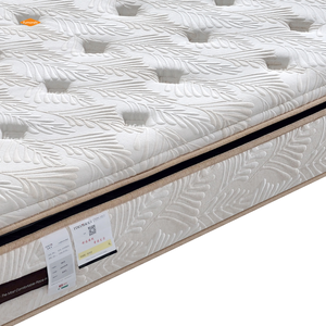 Vua Kích Thước Giường Nệm Với Bộ Nhớ Bọt & Túi Cuộn Dây Mùa Xuân Vàng Nhà Cung Cấp Của Sang Trọng Euro Gối Top Thiết Kế Hiện Đại Cho Phòng Ngủ - Product Image 3