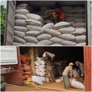 Bâtons d'encens en bois de qualité supérieure JOSS, poudre de colle de Litsea glutinosa pour l'artisanat et l'aromathérapie, à des fins religieuses, fabriqués - Product Image 6