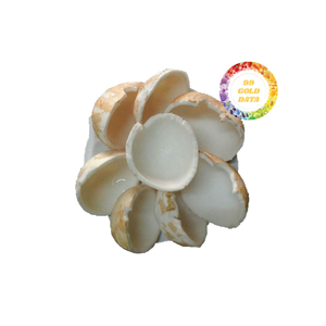 Segmentos de coco congelados a granel: cortados cuidadosamente y congelados rápidamente para batidos, postres asiáticos y cadenas de suministro de restaurantes - Product Image 4