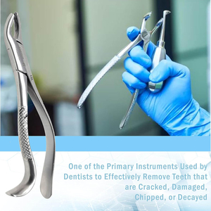 Fórceps de extracción de dientes dentales profesionales Patrón inglés Hecho con fórceps de extracción dental de patrón americano profesional - Product Image 5